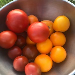 Meet your Posher, Susan